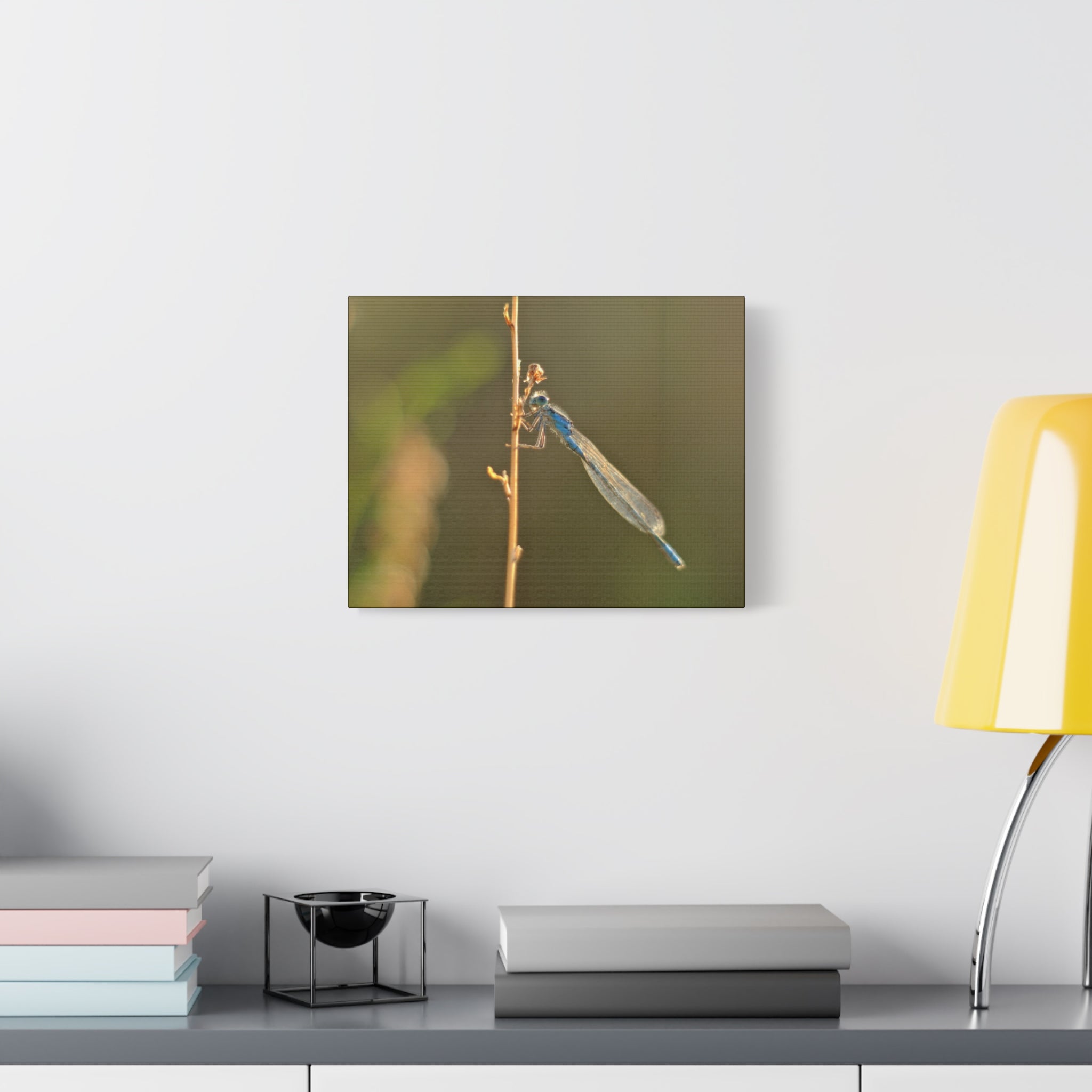 Blue Dragonfly Macro Canvas Print — Blue Damselfly Nature Wall Art, Matte Stretched 1.25"