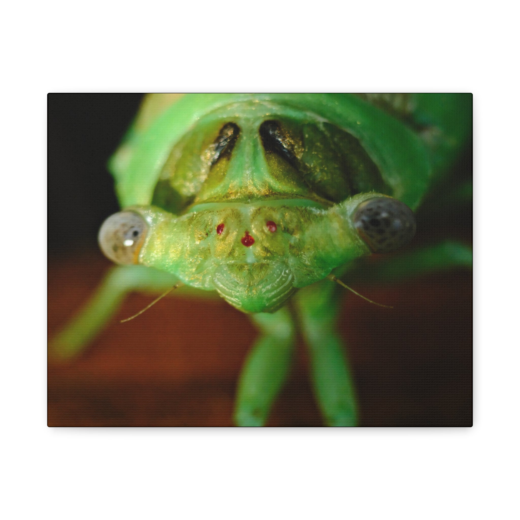 Cute Green Cicada Macro Canvas Print — Close-Up Insect Wall Art