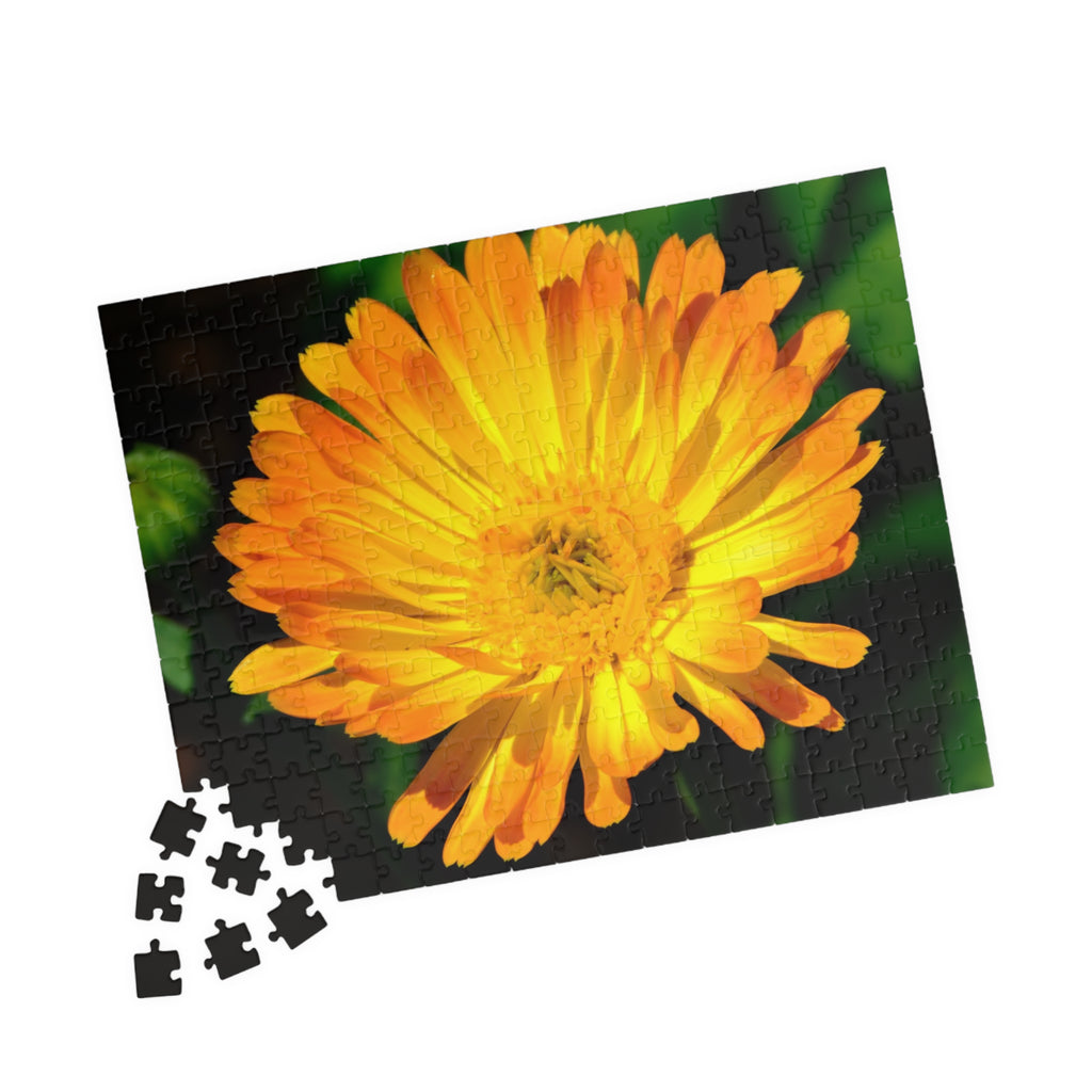 Marigold Bloom Jigsaw Puzzle — 252/520/1014-Piece Floral Puzzle