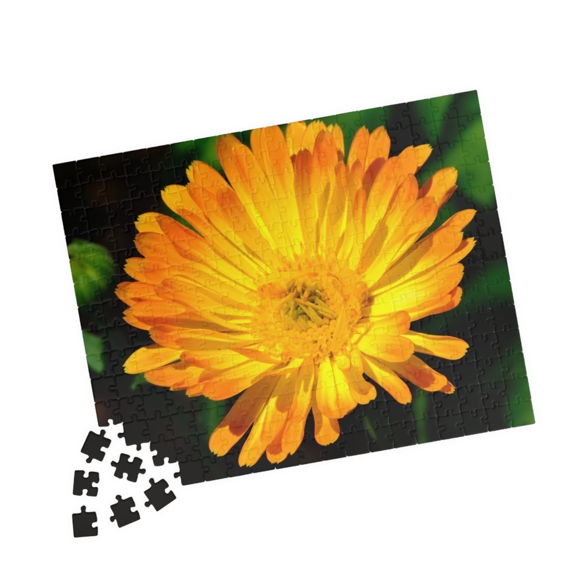 Marigold Bloom Jigsaw Puzzle — 252/520/1014-Piece Floral Puzzle