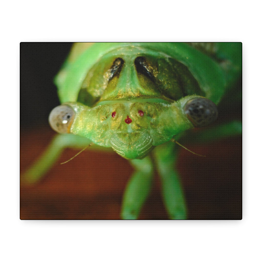 Cute Green Cicada Macro Canvas Print — Close-Up Insect Wall Art