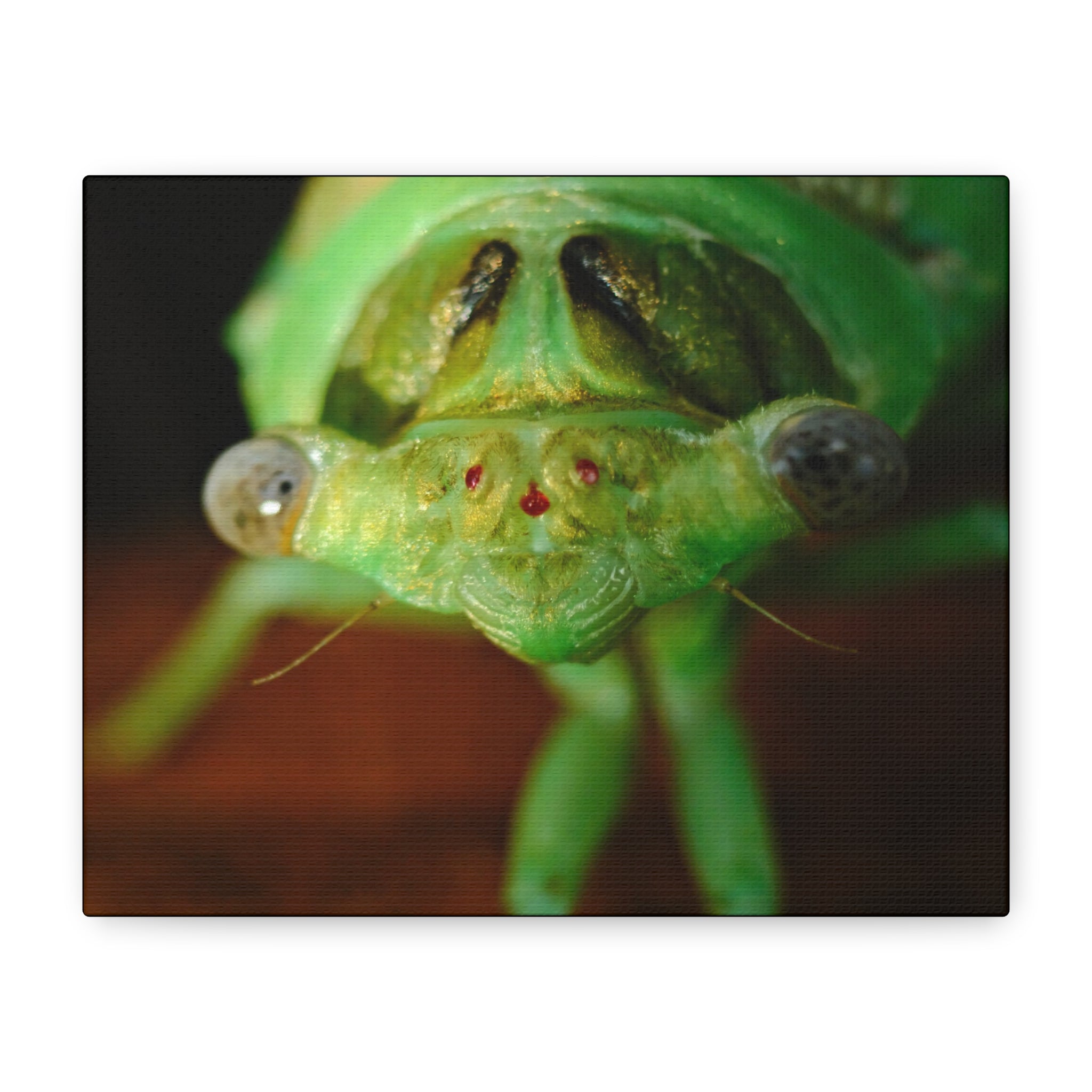 Cute Green Cicada Macro Canvas Print — Close-Up Insect Wall Art