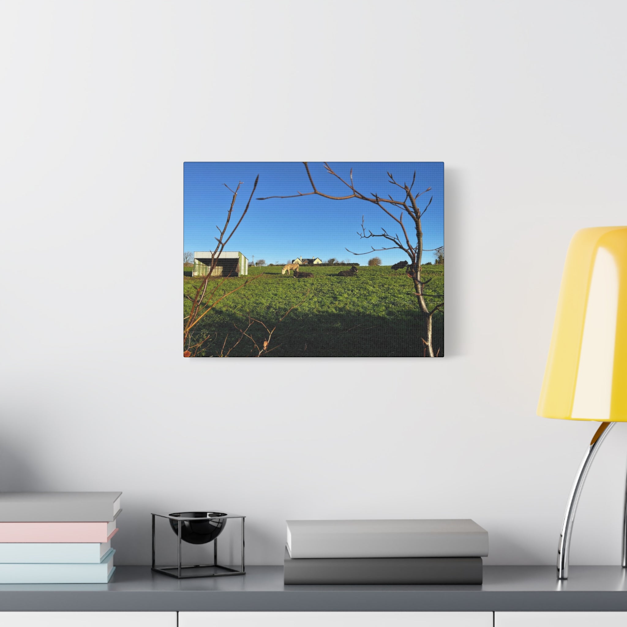 Irish Country Pasture Canvas Print — Matte Stretched Wall Art