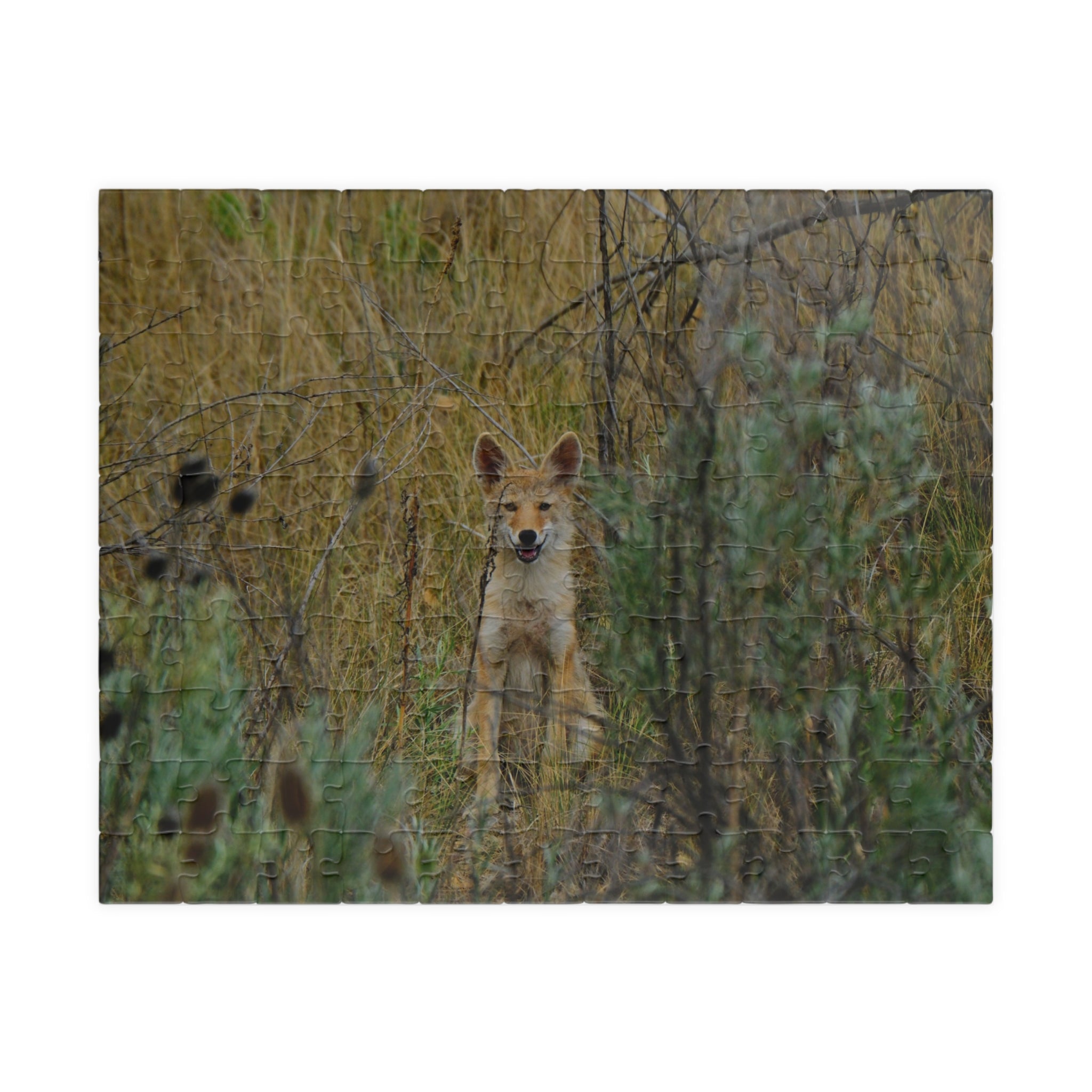 Coyote Pup Puzzle — Wildlife Photo Jigsaw (110/252/520/1014 pcs)