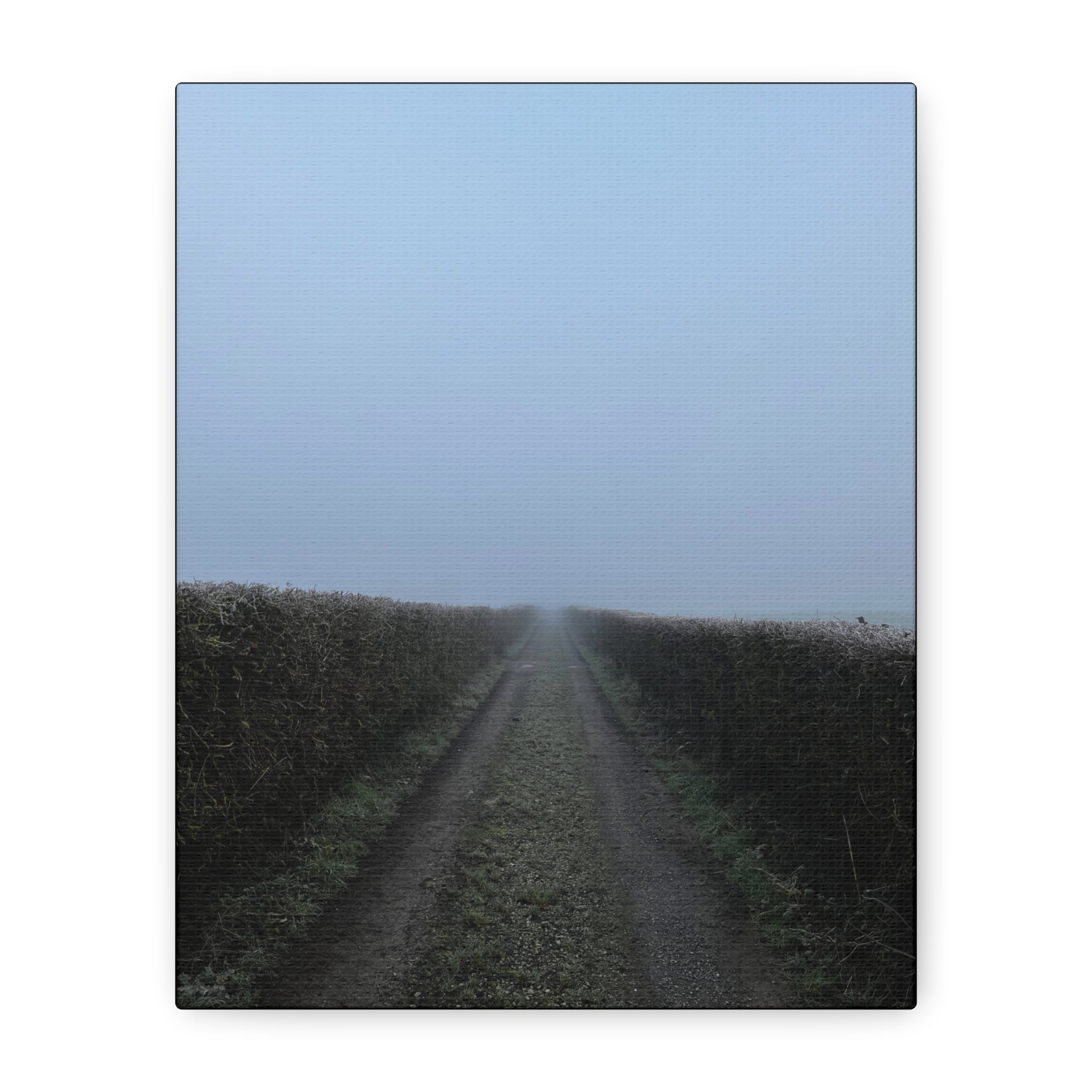Foggy Country Lane Matte Canvas Wall Art — Stretched 1.25"
