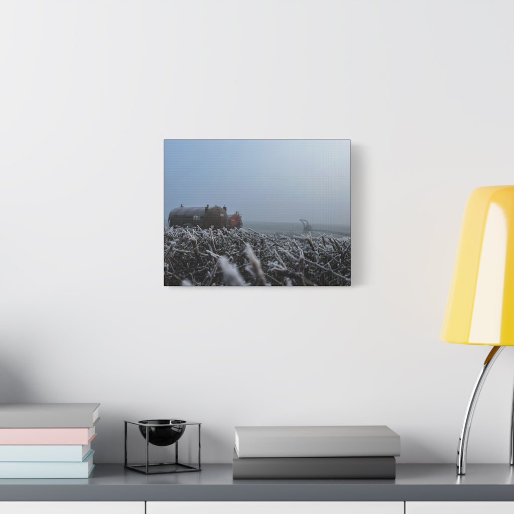 Irish Frost Farm Canvas Print — Foggy Shoreline with Frosted Driftwood