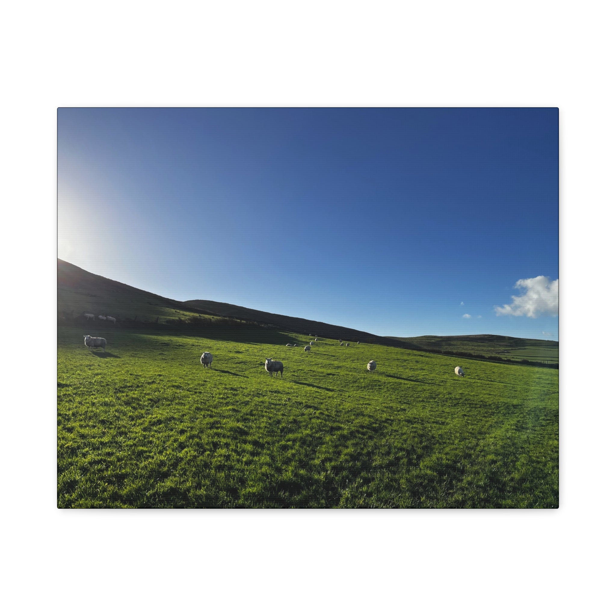 Irish sheep Pasture Canvas Print — Sheep Landscape Matte Stretched Wall Art