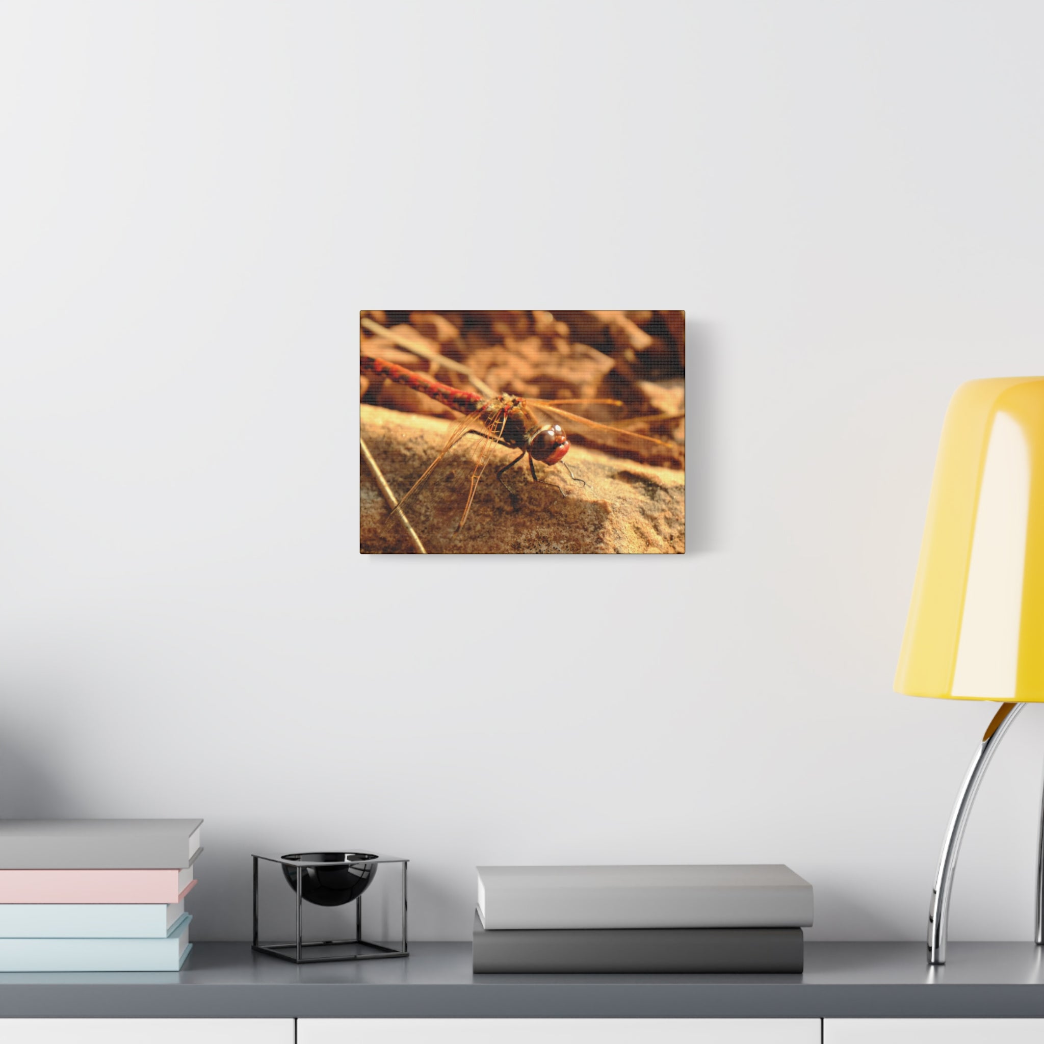 Dragonfly Macro Canvas Print — Close-Up Nature Wall Art, Rustic Insect Photography