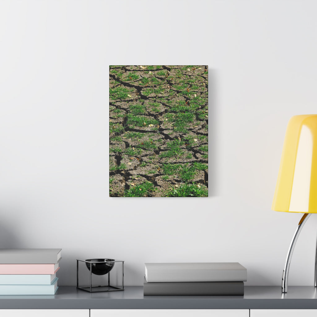 Life Finds A Way Canvas Print — Cracked Earth with Green Grass Matte Stretched Canvas (1.25")