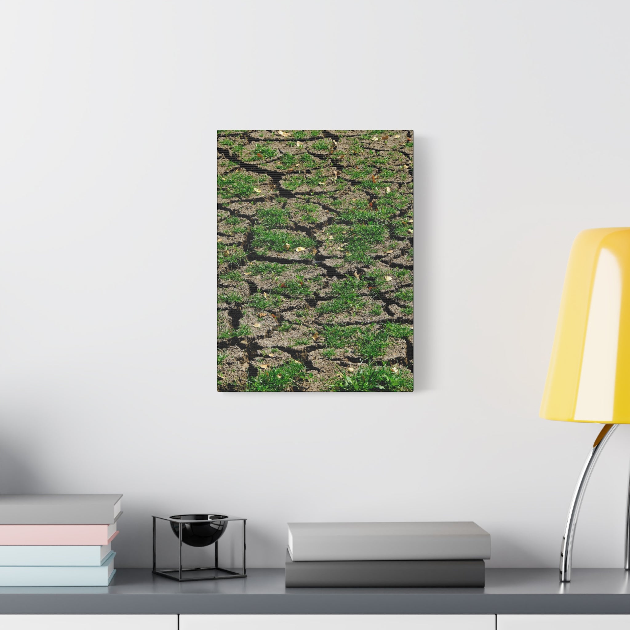 Life Finds A Way Canvas Print — Cracked Earth with Green Grass Matte Stretched Canvas (1.25")
