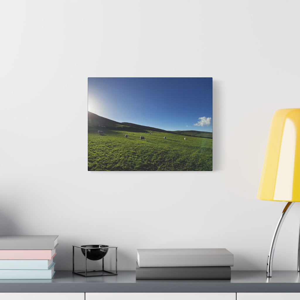 Irish sheep Pasture Canvas Print — Sheep Landscape Matte Stretched Wall Art