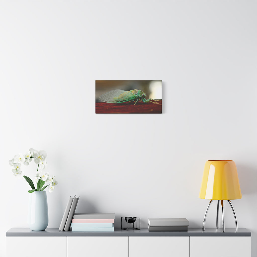 Cicada Close-Up Matte Canvas Print — Stretched 1.25" Nature Wall Art