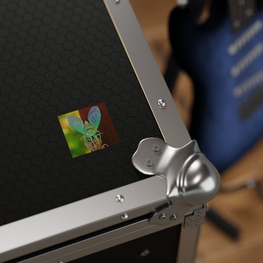Cicada Square Sticker — Vivid Green Insect Photo Sticker (Indoor/Outdoor)