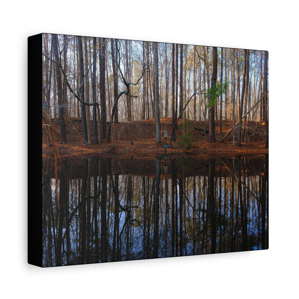 Woodland Reflection Matte Canvas Art – Stretched 1.25" Wall Decor