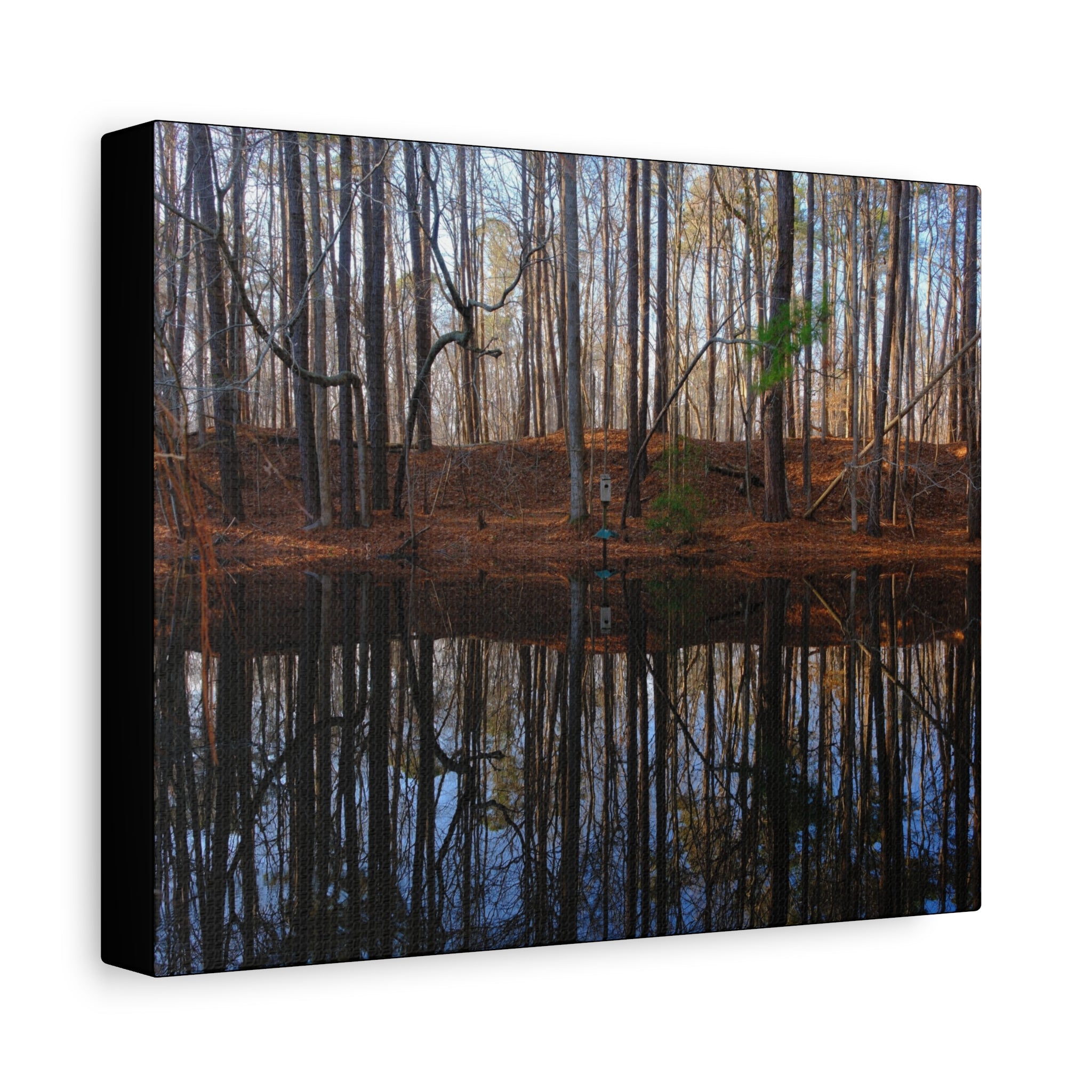 Woodland Reflection Matte Canvas Art – Stretched 1.25" Wall Decor