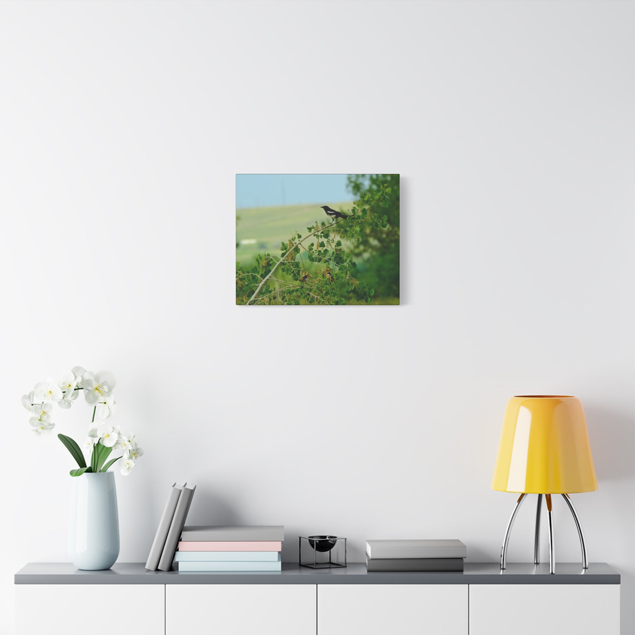 Magpie & Bullock's Oriole resting Matte Stretched Canvas Wall Art