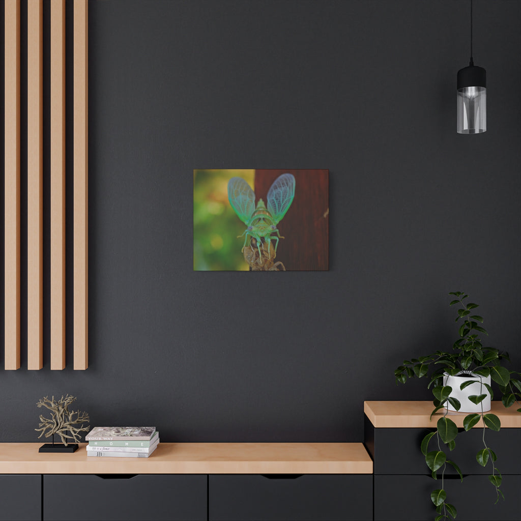 The Cutest Green Cicada Canvas Print - Matte Stretched Wall Art