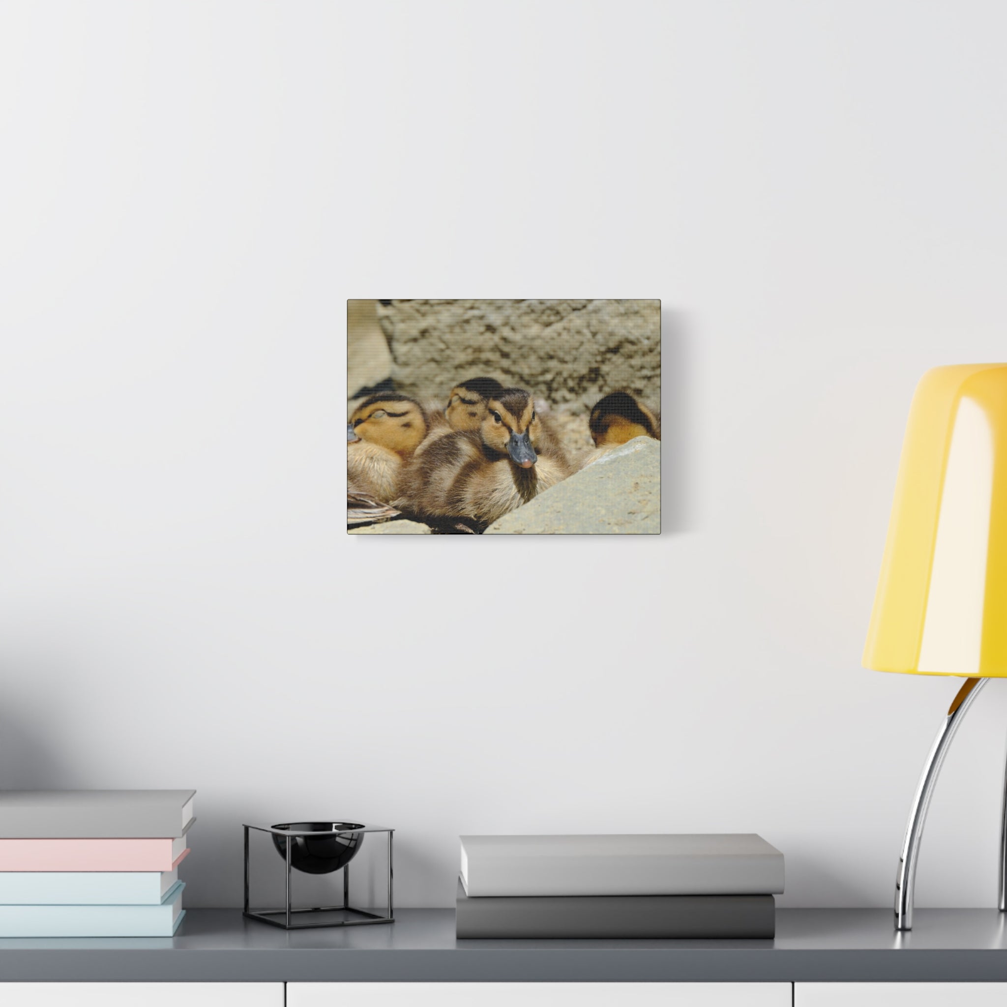 Duckling Canvas Print - Cute Baby Ducks Matte Stretched Wall Art