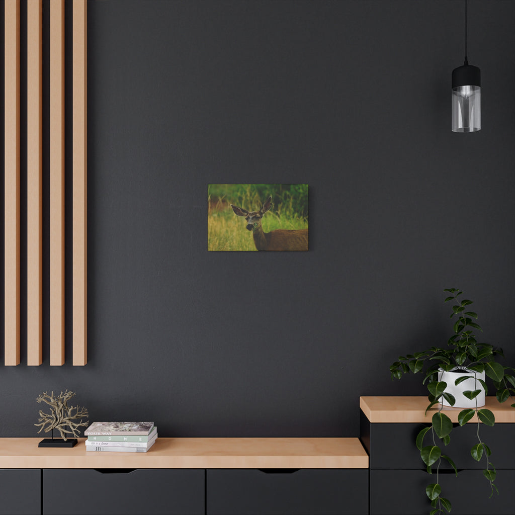 Doe Portrait Matte Canvas Wall Art