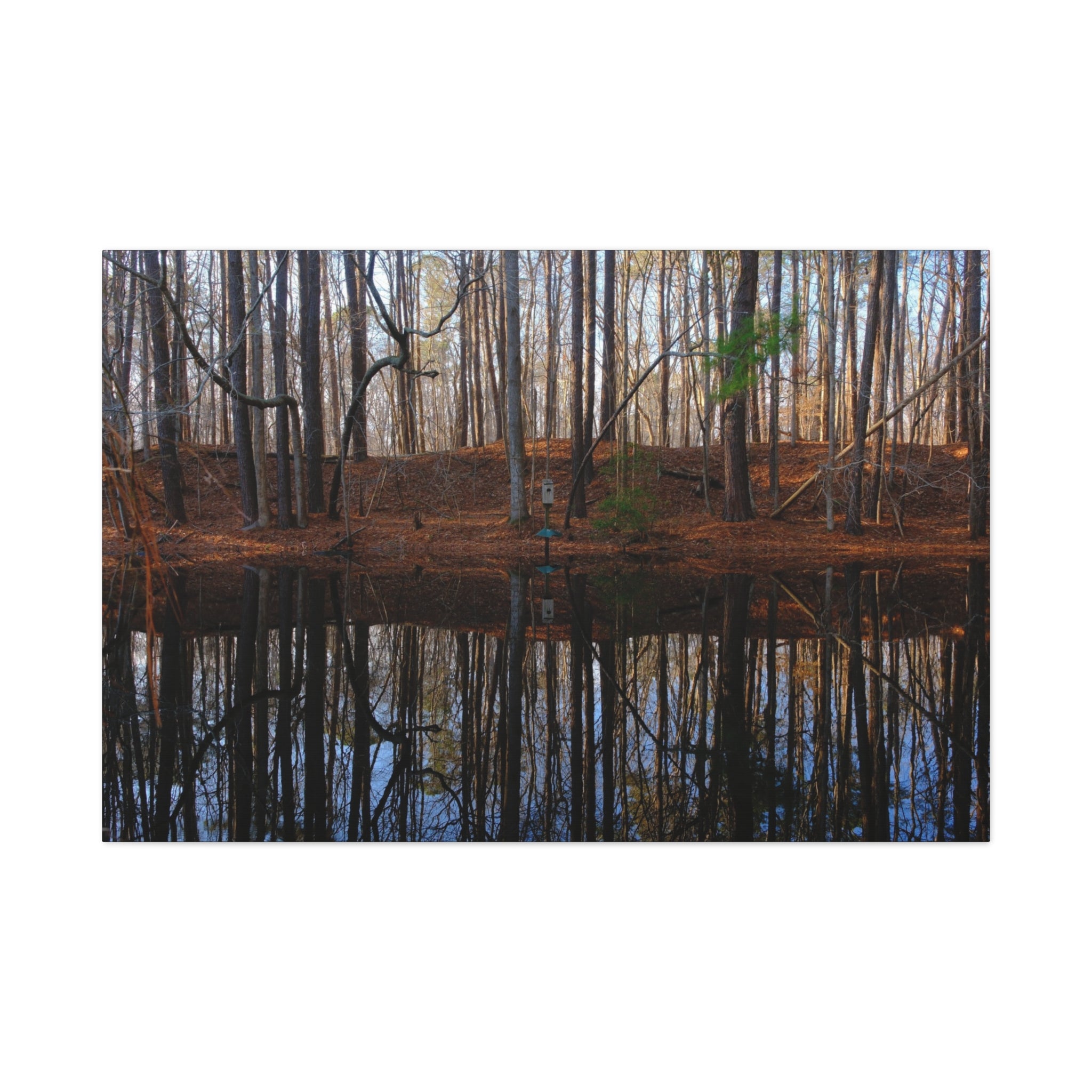 Woodland Reflection Matte Canvas Art – Stretched 1.25" Wall Decor
