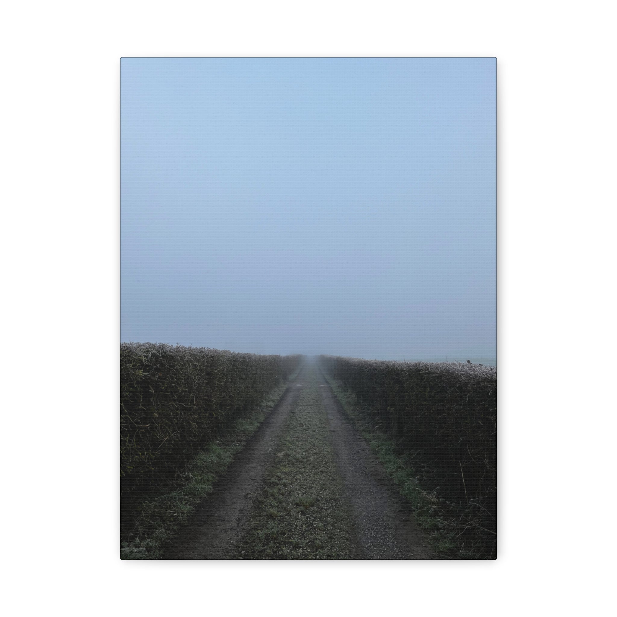 Foggy Country Lane Matte Canvas Wall Art — Stretched 1.25"
