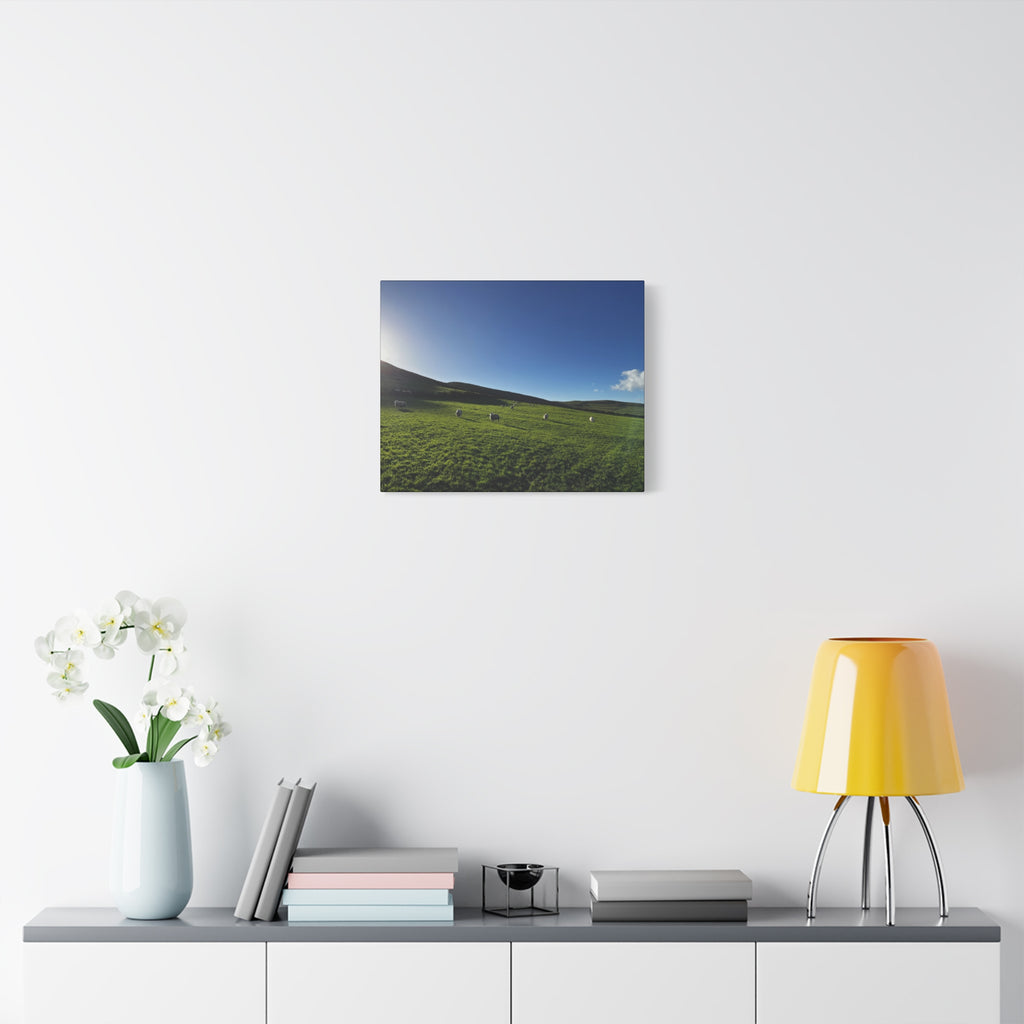 Irish sheep Pasture Canvas Print — Sheep Landscape Matte Stretched Wall Art