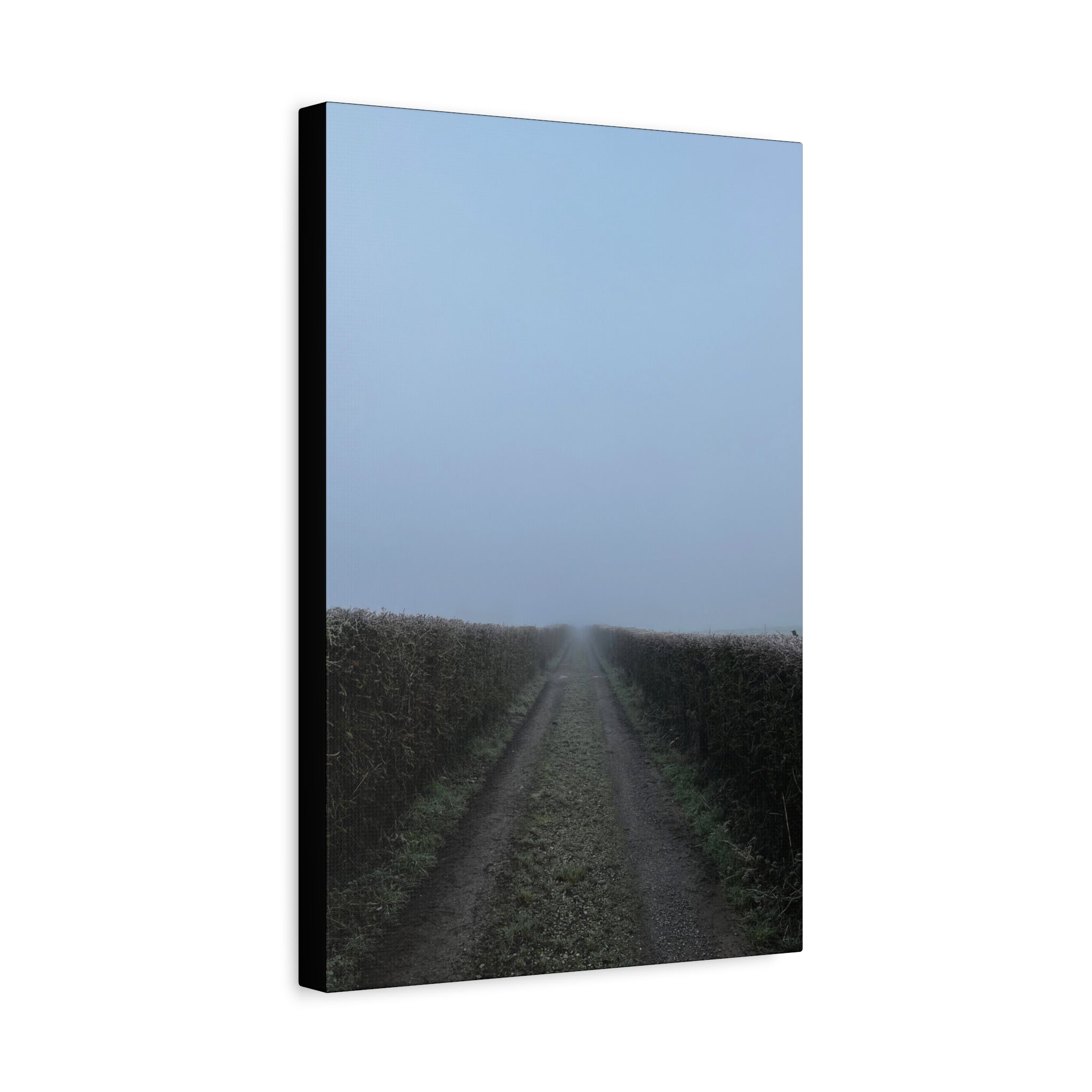 Foggy Country Lane Matte Canvas Wall Art — Stretched 1.25"