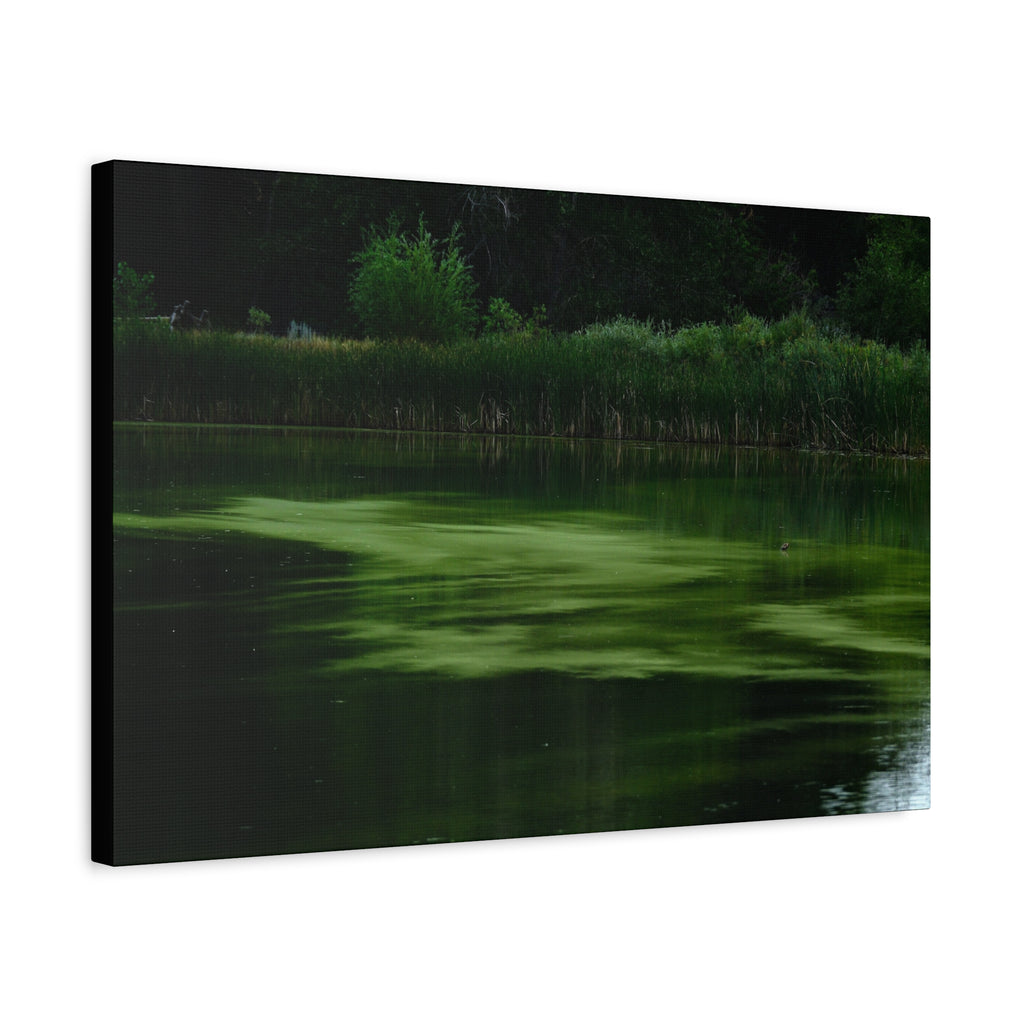 Not Your Average Bloom - Matte Canvas Wall Art Stretched 1.25"