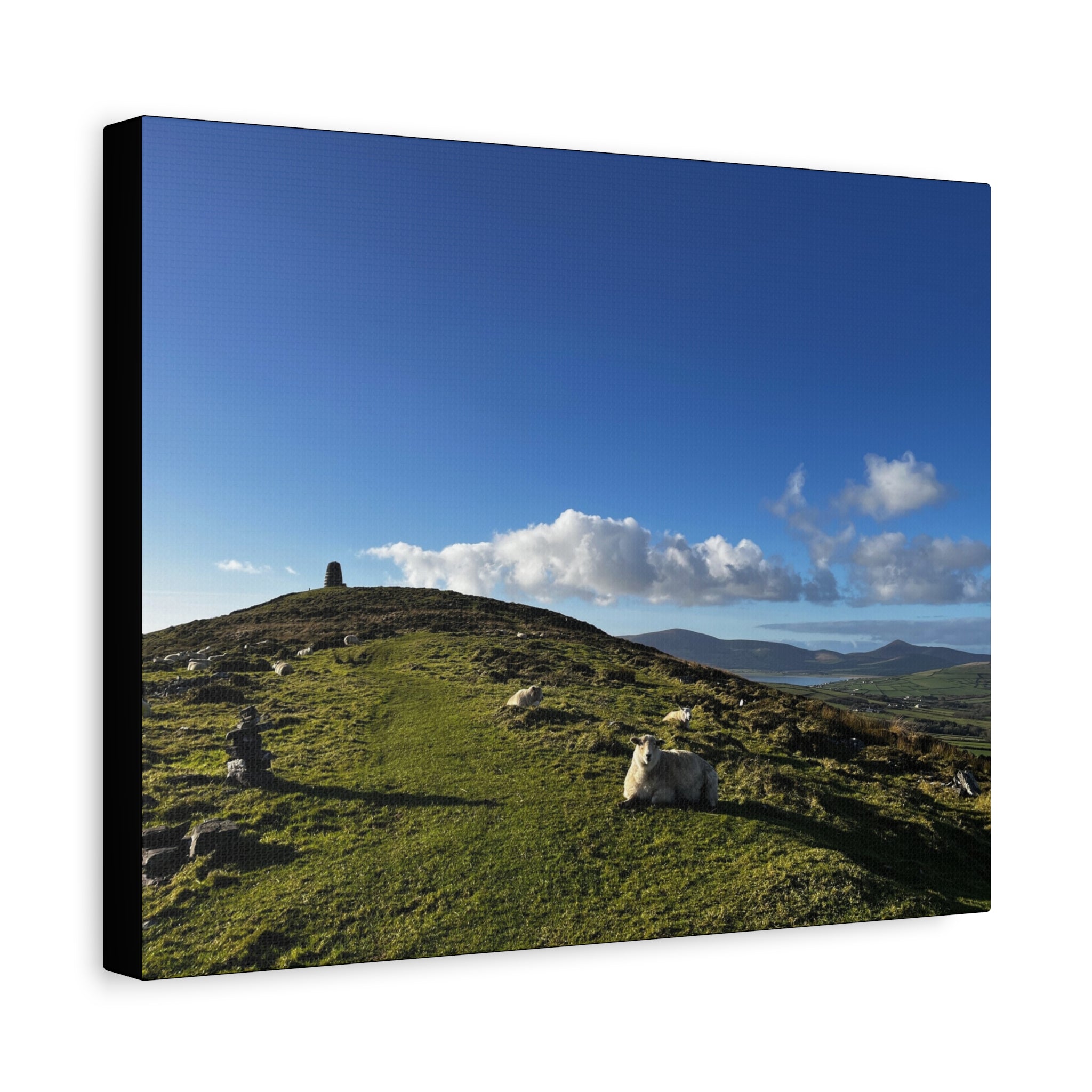 Sheep Lookout Canvas Print – Rolling Green Hills with Blue Sky