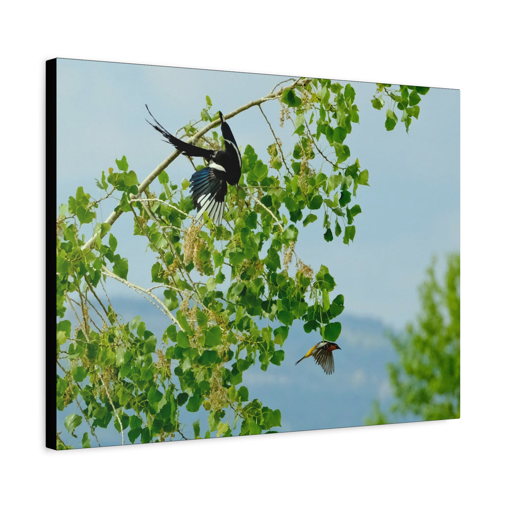 Birds in Flight Matte Canvas Wall Art — Spring Tree Branch Nature Print