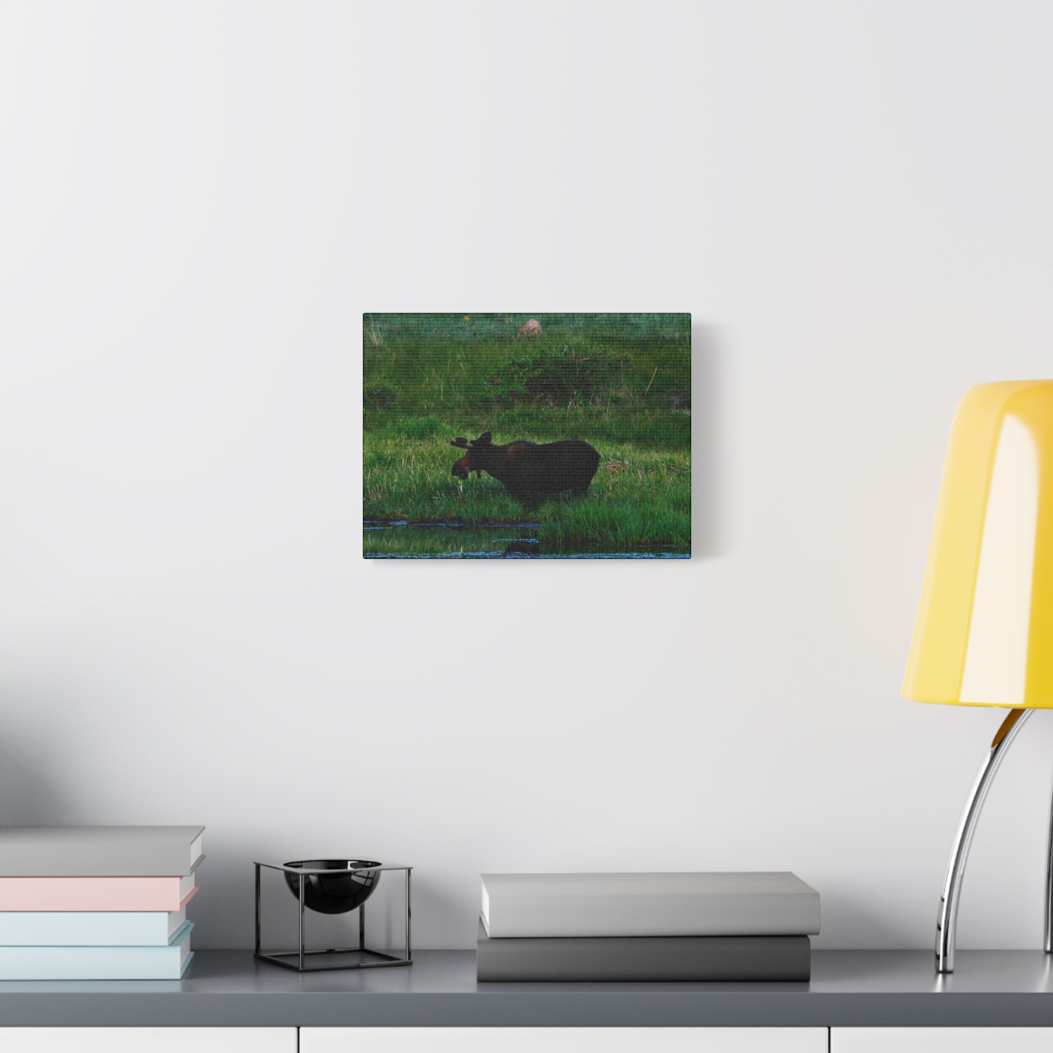 Munching Moose Matte Canvas Print — Stretched Wildlife Wall Art