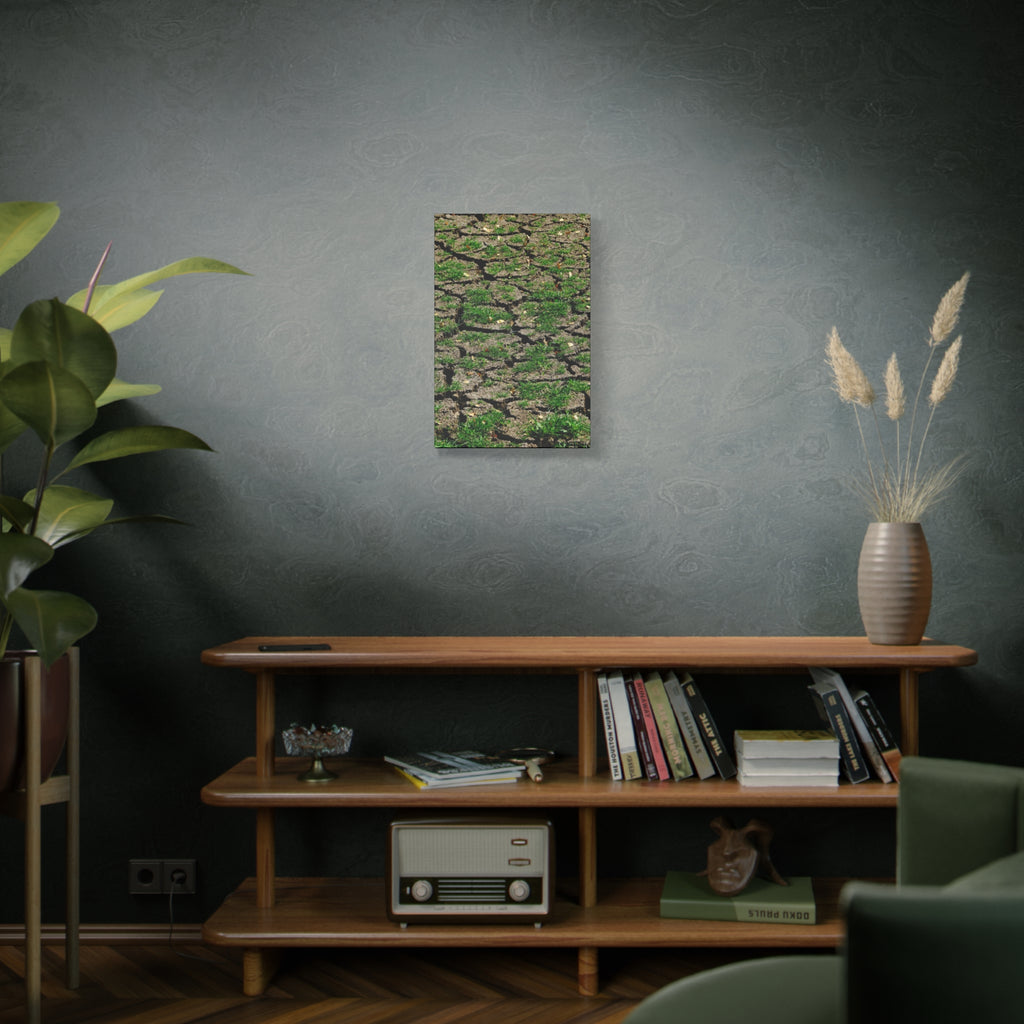 Life Finds A Way Canvas Print — Cracked Earth with Green Grass Matte Stretched Canvas (1.25")
