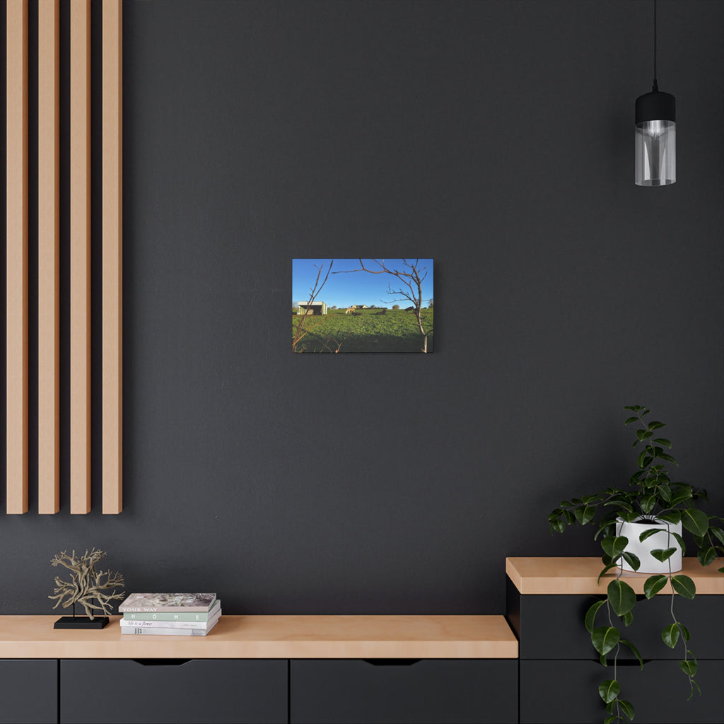 Irish Country Pasture Canvas Print — Matte Stretched Wall Art