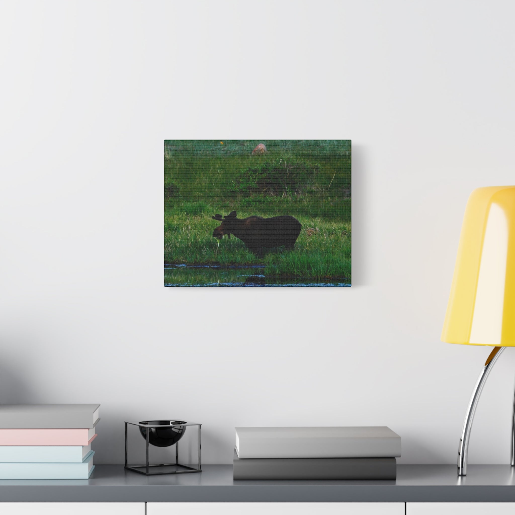 Munching Moose Matte Canvas Print — Stretched Wildlife Wall Art