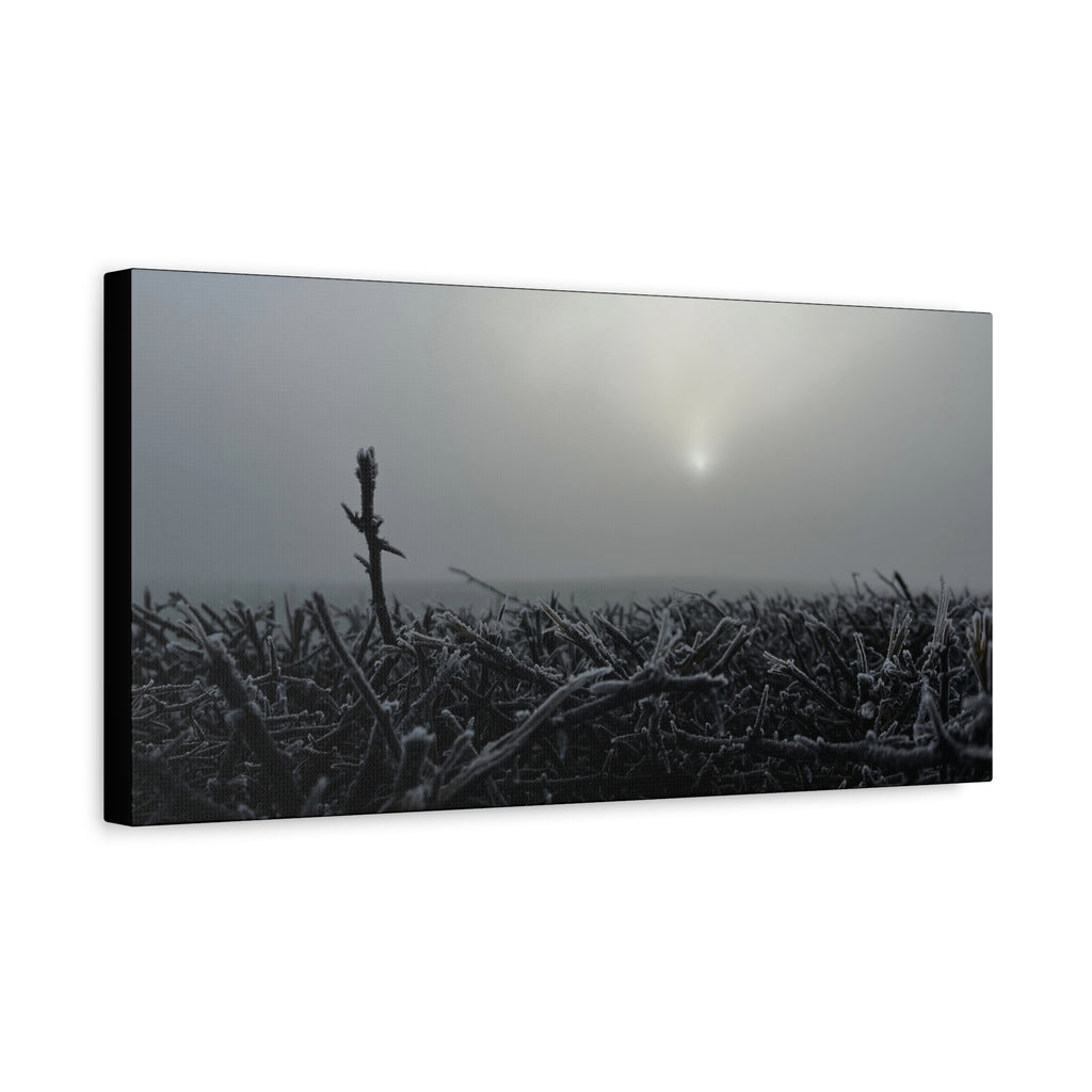 Foggy Sunrise Matte Canvas Wall Art – Moody Winter Landscape