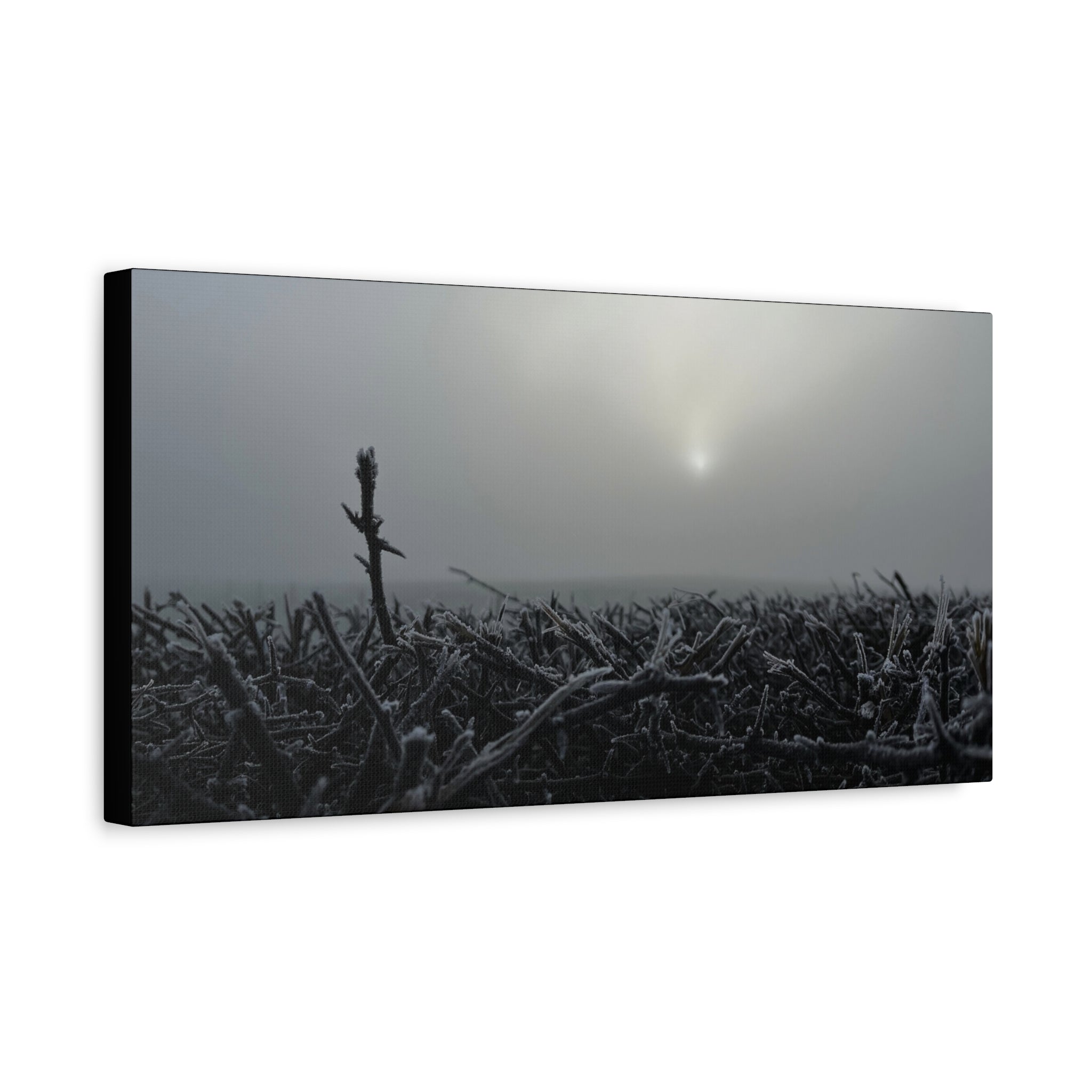 Foggy Sunrise Matte Canvas Wall Art – Moody Winter Landscape