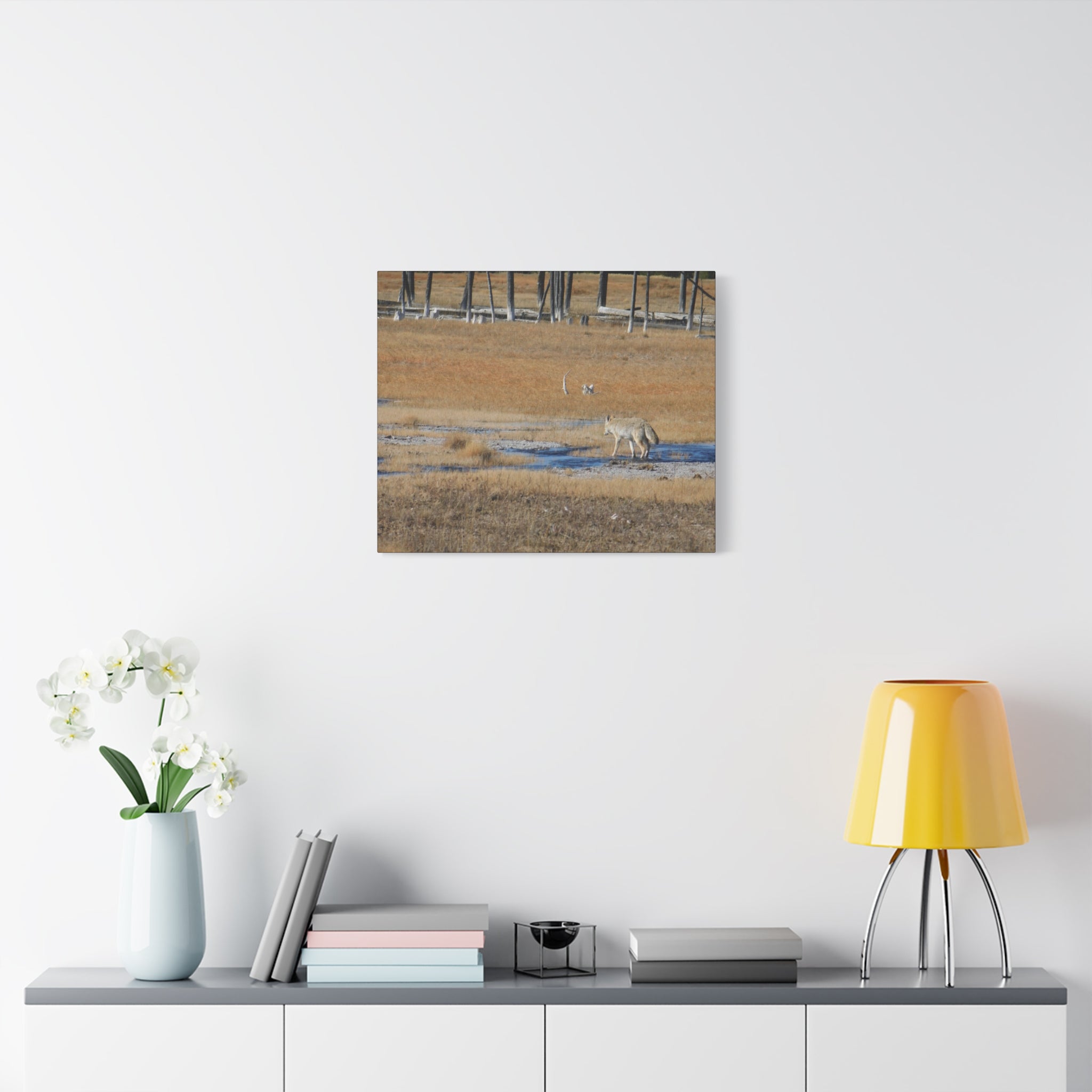 Coyote Canvas Wall Art — Wildlife Landscape Matte Stretched Print
