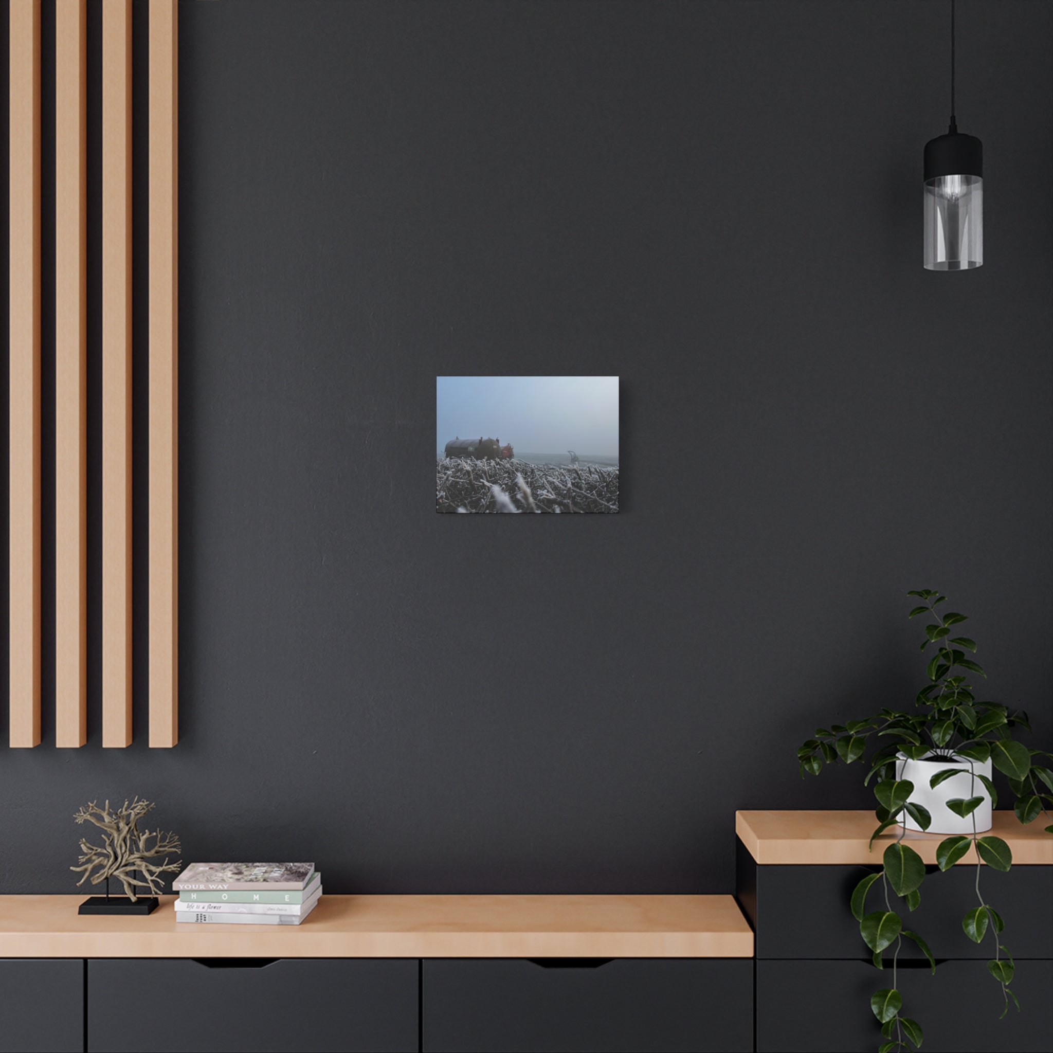 Irish Frost Farm Canvas Print — Foggy Shoreline with Frosted Driftwood