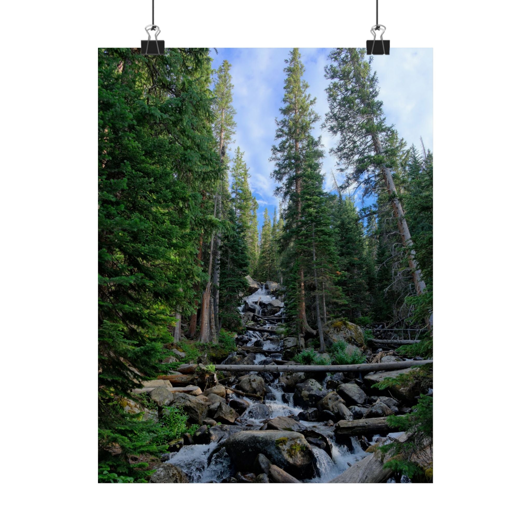 Mountain Stream Forest Matte Poster — Vertical Nature Wall Art