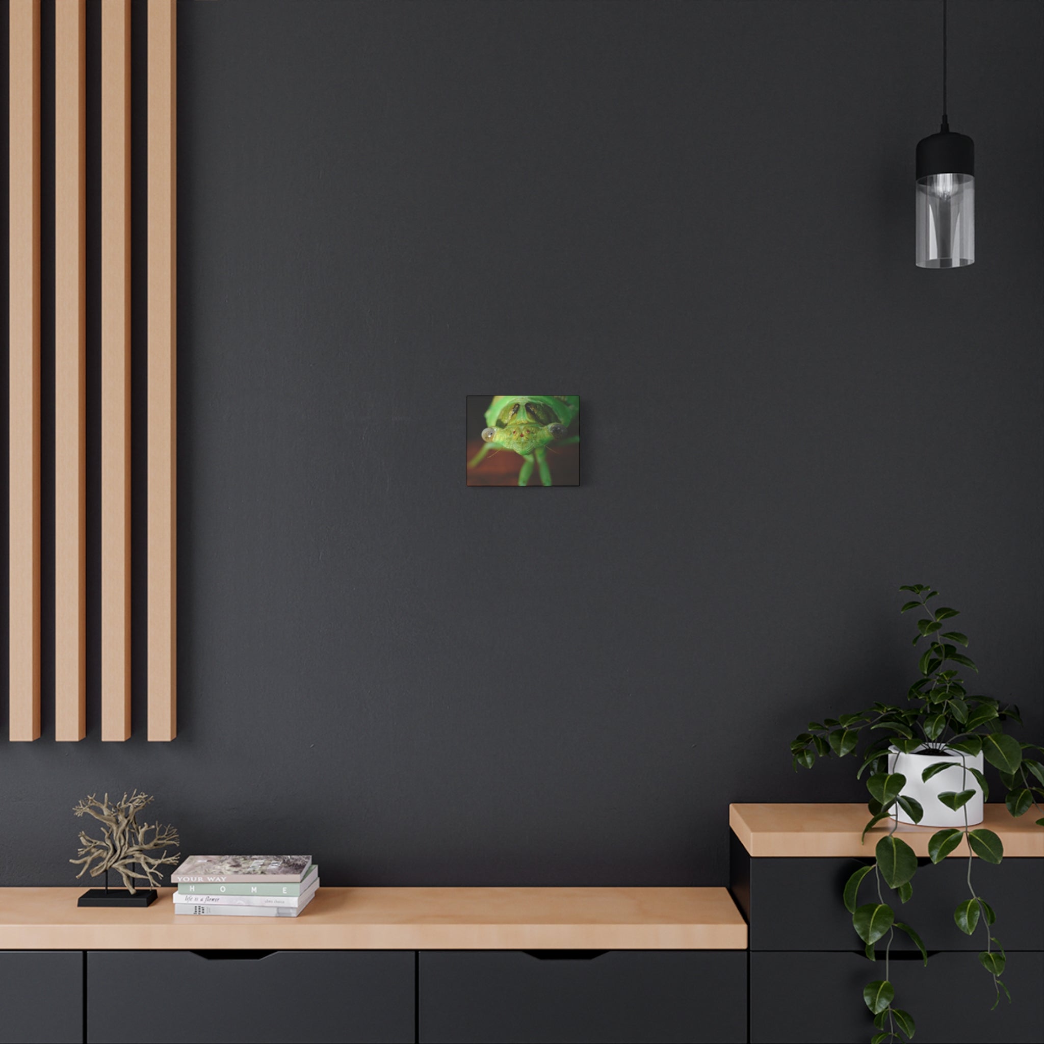 Cute Green Cicada Macro Canvas Print — Close-Up Insect Wall Art