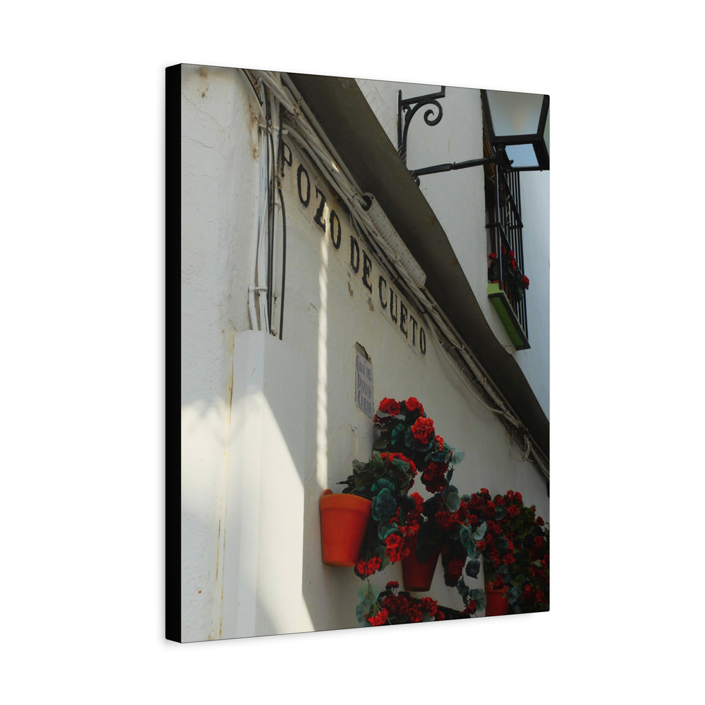 Spanish Street Flowers Canvas Print — 'Pozo de Cueto' Wall Art