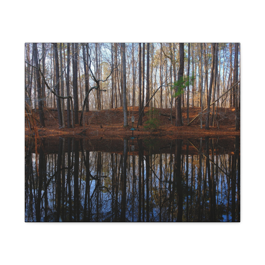 Woodland Reflection Matte Canvas Art – Stretched 1.25" Wall Decor