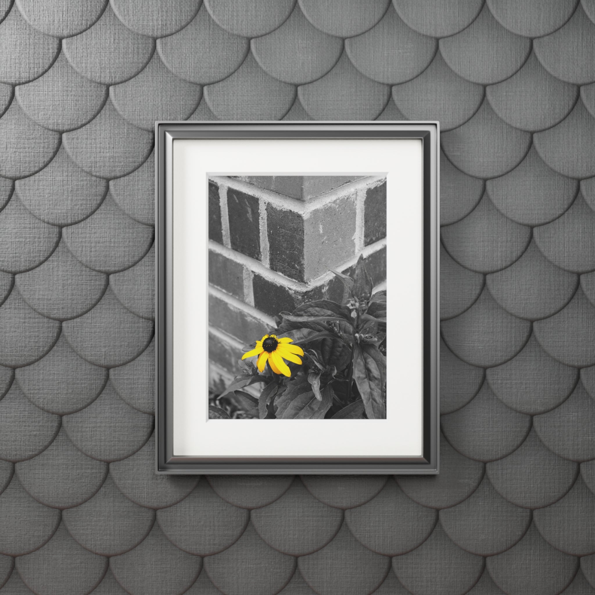 Fine Art Print — Monochrome Brick Corner with Yellow Daisy (Passepartout)