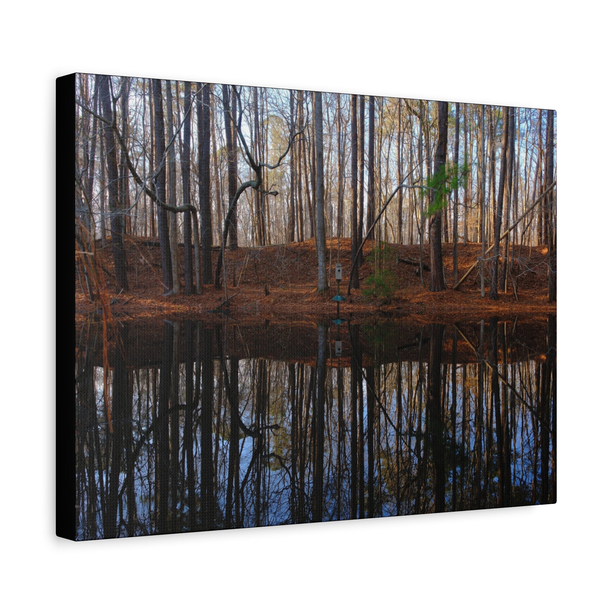 Woodland Reflection Matte Canvas Art – Stretched 1.25" Wall Decor