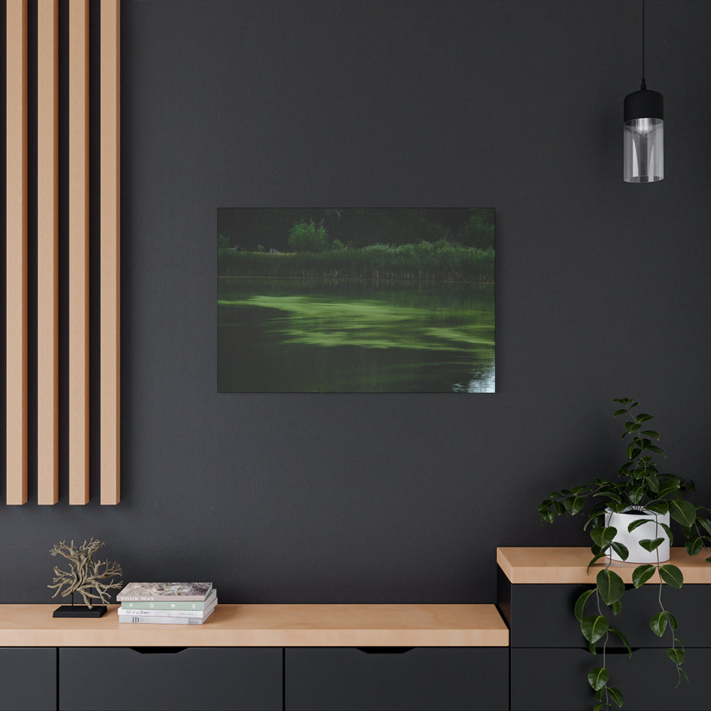 Not Your Average Bloom - Matte Canvas Wall Art Stretched 1.25"