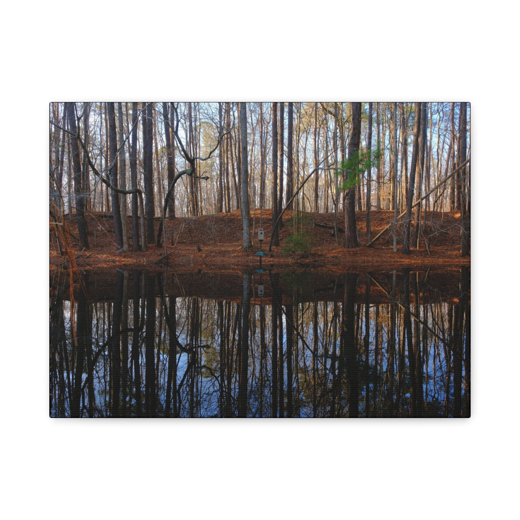 Woodland Reflection Matte Canvas Art – Stretched 1.25" Wall Decor