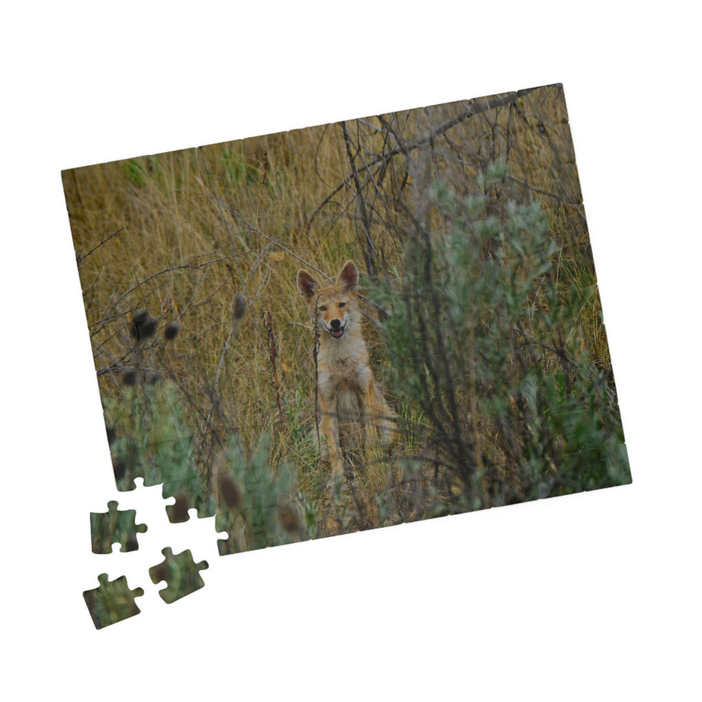 Coyote Pup Puzzle — Wildlife Photo Jigsaw (110/252/520/1014 pcs)