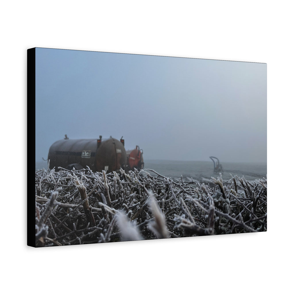 Irish Frost Farm Canvas Print — Foggy Shoreline with Frosted Driftwood