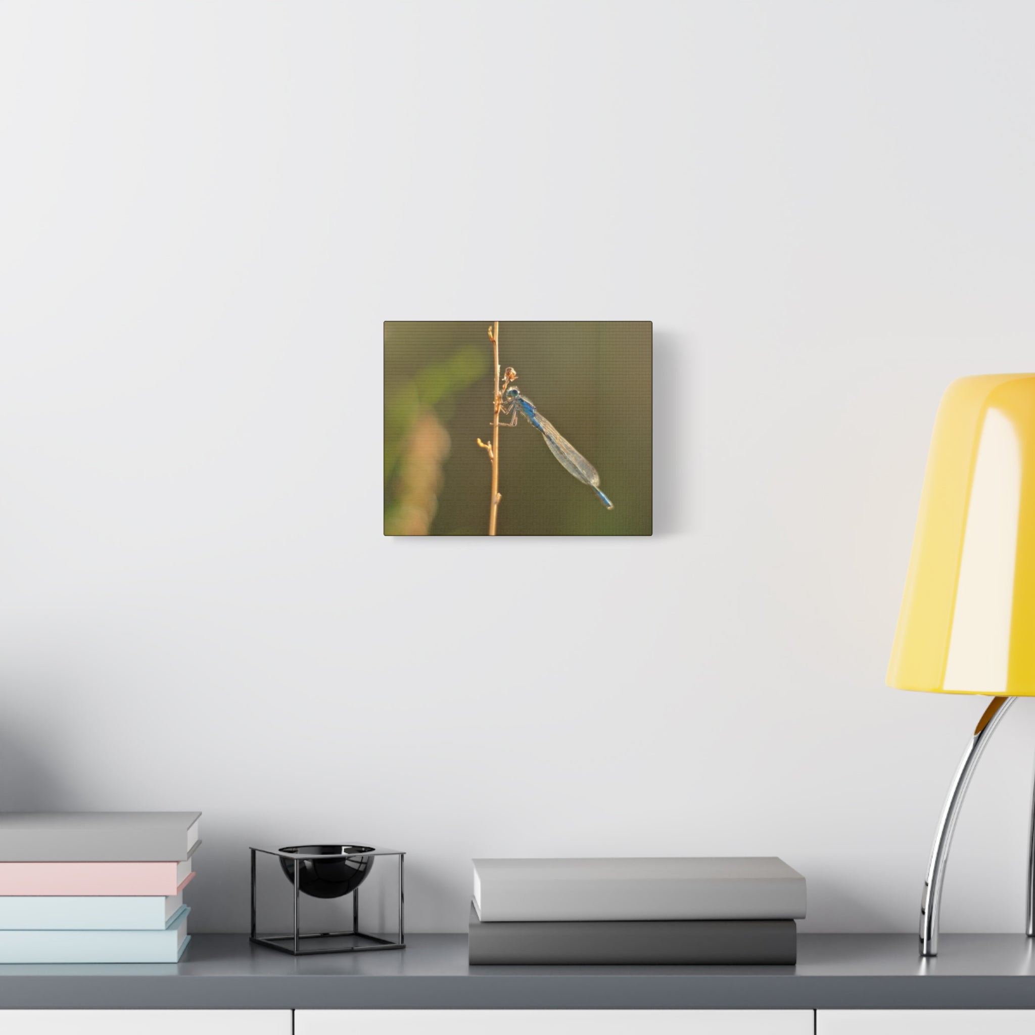 Blue Dragonfly Macro Canvas Print — Blue Damselfly Nature Wall Art, Matte Stretched 1.25"
