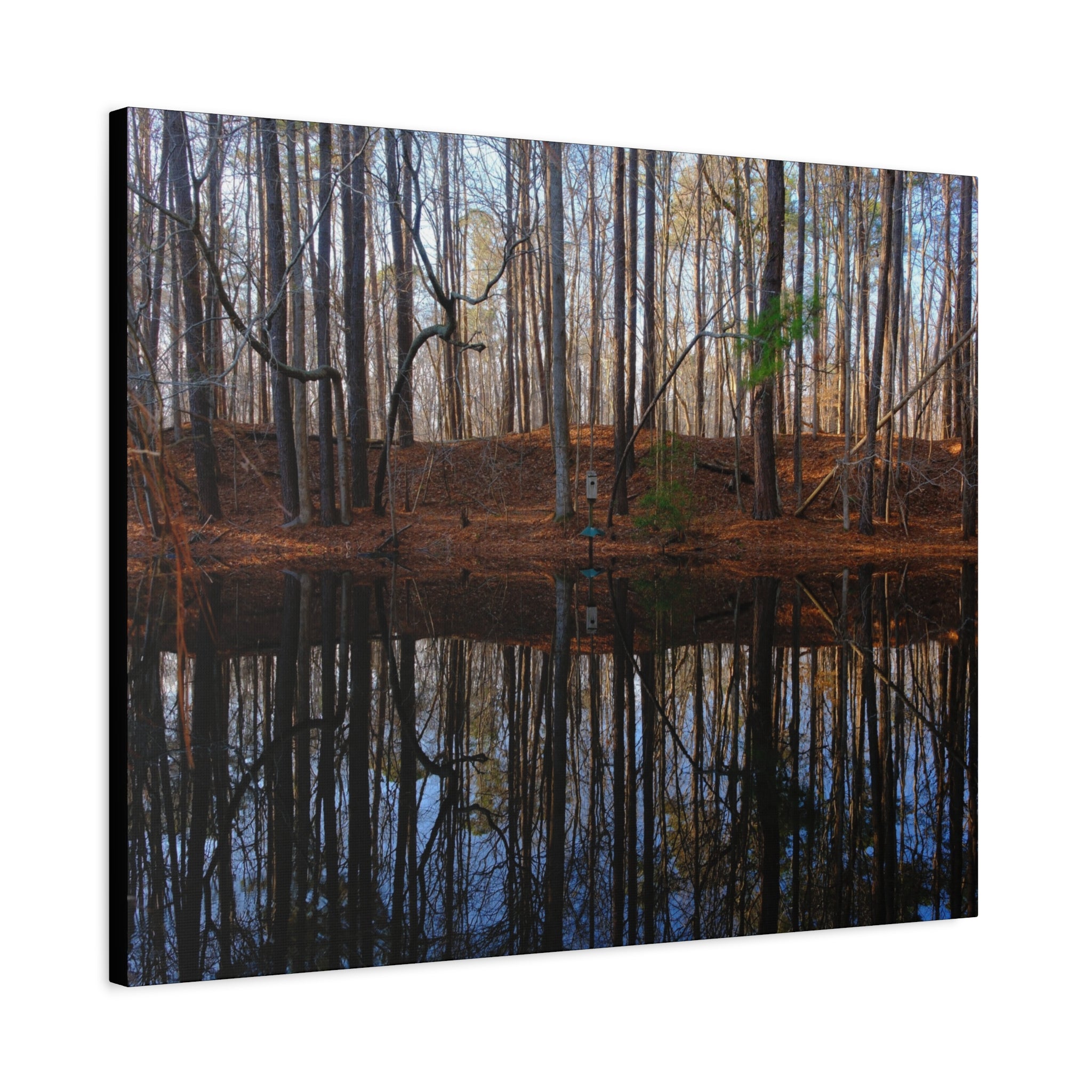 Woodland Reflection Matte Canvas Art – Stretched 1.25" Wall Decor